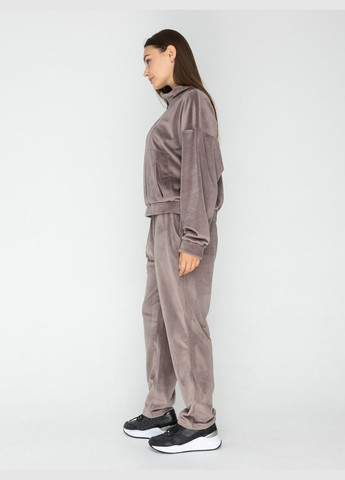 Жіночий костюм спортивний плюш на хутрі кофта та штани (пудровий) GorLin (306812704)