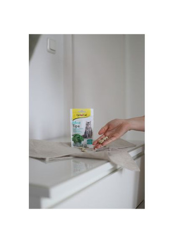 Витаминизированное лакомство для кошек Cat-Mintips с кошачьей мятой, 40 г GimCat (349823749)