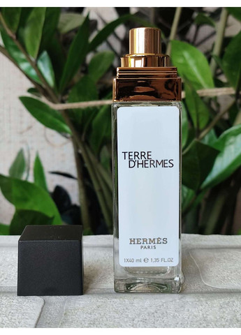 Парфуми чоловічі Terre d'Hermes (Терре де Гермес) 40 мл No Brand (361962554)