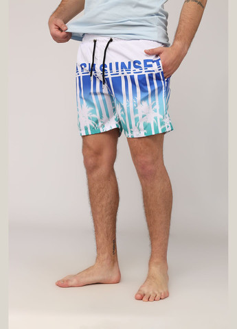 Шорты пляжные мужские цвет белый ЦБ-00276219 ILBES (331283303)