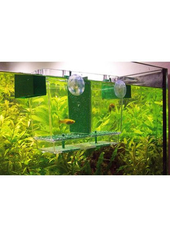 Отсадник для рыб Nido 2, 21x16x14см Hobby (322711565)