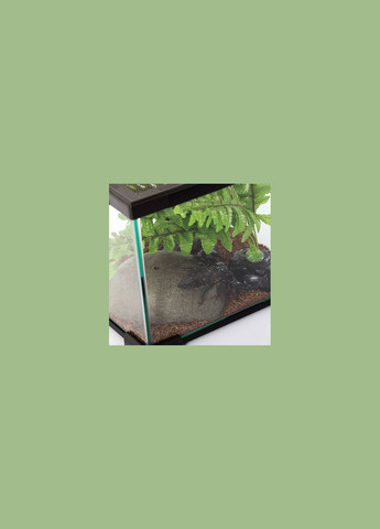 Террариум 21x31x15см (AK09BG) Repti-Zoo (321970473)