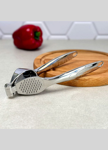 Прес для часнику з оцинкованої сталі з дзеркальним поліруванням Овал No Brand (303213203)