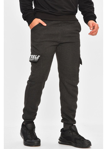 Спортивні штани чоловічі на флісі темно-сірого кольору Let's Shop (362893978)