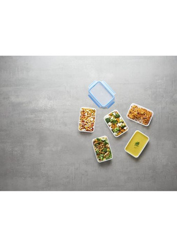 Контейнер MasterSeal (K3021812) Tefal (329194293)