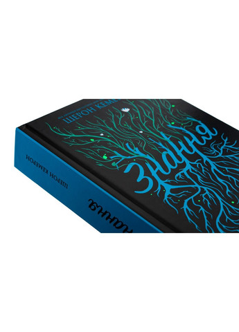 Книга Знання. Книга 2/ Шерон Камерон. Серія-Забуття (українською) No Brand (322122160)