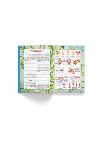 Книга "Вы это знаете. Тело человека" Home (323201930)