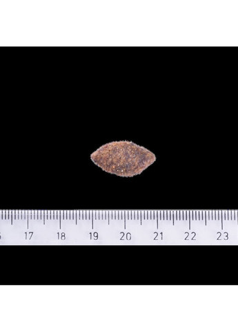 Сухой корм Dog Grain-free Sensitive для собак с чувствительным пищеварением, беззерновой с олениной, 1 кг Brit Care (362701912)