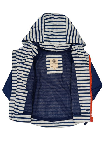 Синяя демисезонная ветровка Cool Club