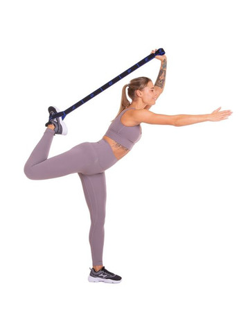 Стрічка еластична з петлями для розтяжки стрічковий еспандер Elastiband FI 1719 Record (363023544)