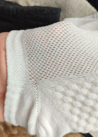 Комбинированные носки базовые в сетку короткие 6 пар wg 309/6 р.36-40 разноцветный Lomani однотонные (330779759)