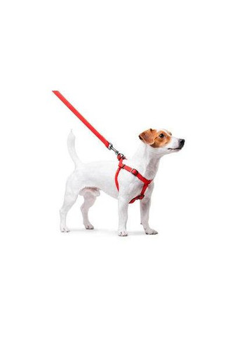 Шлейка для собак WAUDOG Waterproof, с QR-паспортом Collar (362136359)