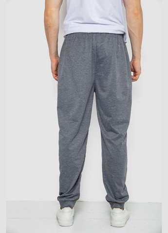 Серые спортивные демисезонные брюки Ager