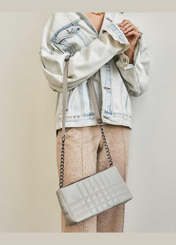 Жіноча сумка-багет з довгим ремінцем на 1 відділення на блискавці «Луїза» сіра WeLassie (298571393)