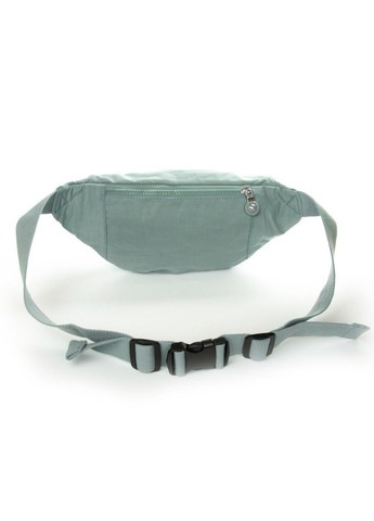 Женская сумка на пояс C25 b.blue Jielshi (341248572)