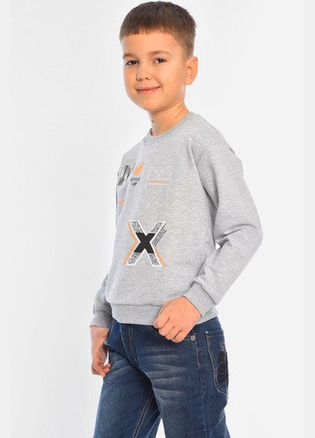 Let's Shop світшот дитячий для хлопчика сірого кольору малюнок сірий кежуал