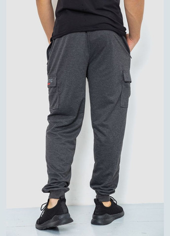 Темно-серые спортивные демисезонные брюки Ager