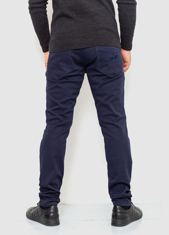 Синие зимние брюки Ager