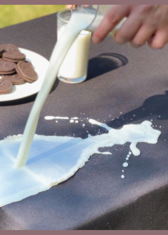 Водовідштовхувальна Скатертина "Чорний однотон" 100х100 см (+ 4 серветки 30х40) No Brand (317275534)