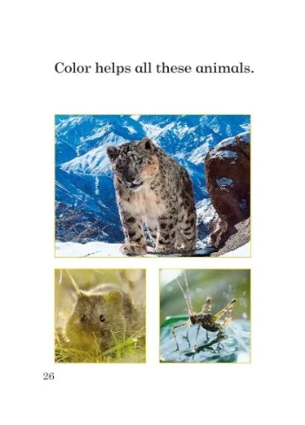 Ladybird Readers. Level 1. Animal Colors Penguin (370058853)