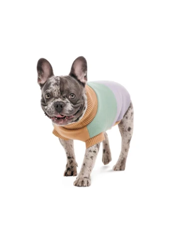 Свитер для собак Rich вязаный унисекс размер L корги Pet Fashion (395729678)