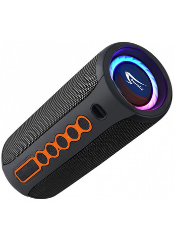 Портативная акустика Shake 20 TWS 40W Radio (SH20TWS40) Aspiring (315760858)