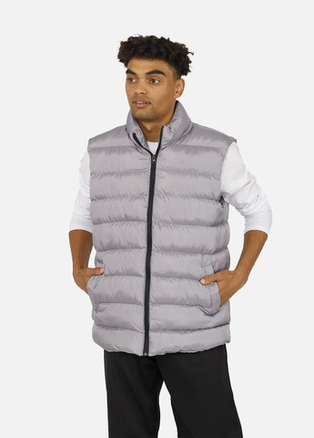 Чоловічий утеплений жилет колір сірий ЦБ-00259517 Zingy Zenith (306831662)