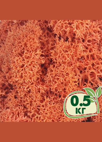 Стабілізований мох ягель Сієна 0,5 кг Nordic moss (276401214)