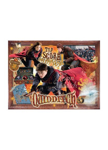 Пазл (WM00366-ML1-6) Winning Moves Harry Potter Quidditch 1000 деталей (370966028)