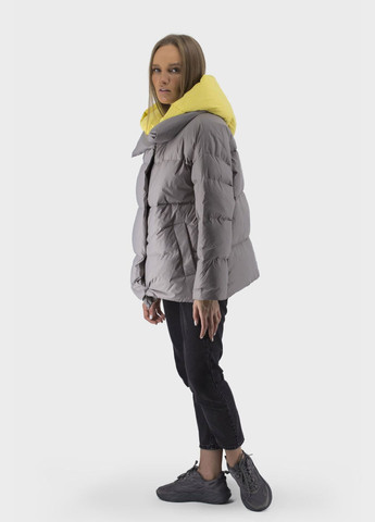 Сірий зимній Пуховик No Brand