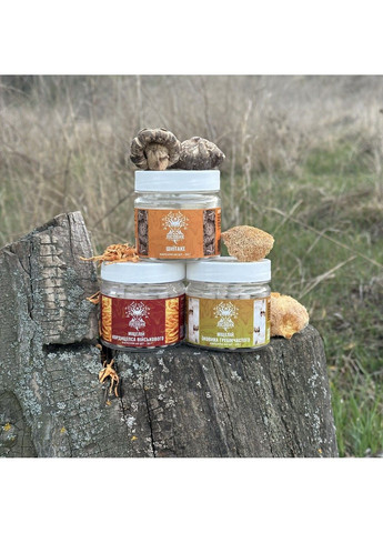 Курс Mind Boost v2 Для навчання та когнітивних функцій (1 місяць) Лісовик (364210573)