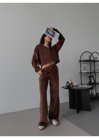 Жіночий стильний велюровий костюм Україна (355889621)