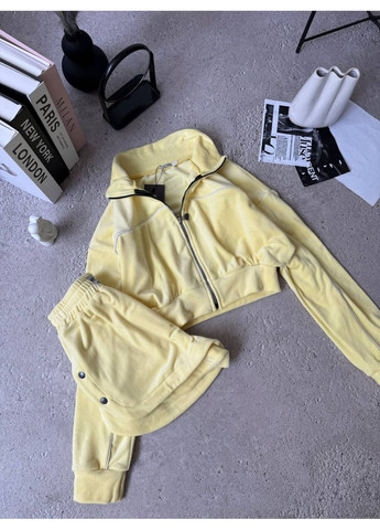 Жіночий велюровий спортивний комплект Україна (349817939)