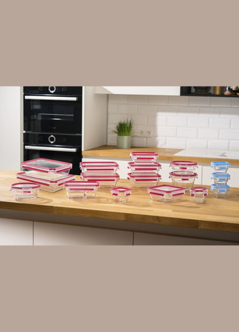 Форма універсальна з кришкою MASTERSEAL GLASS 800 мл, скло Tefal (314833430)