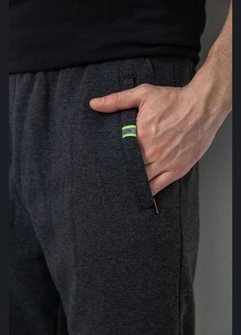 Спортивні штани чоловічі на флісі,, Ager (317426950)