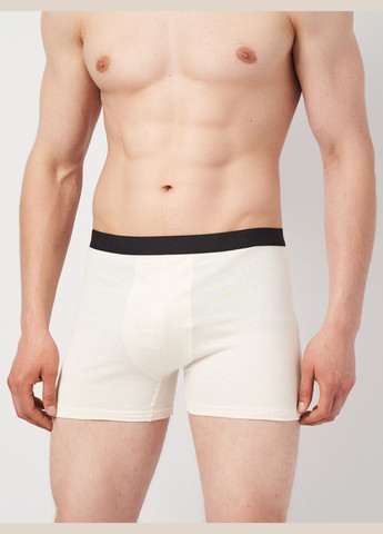 Труси (3шт) Basic Collection (315007229)