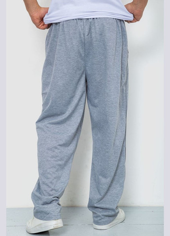 Светло-серые демисезонные брюки Ager