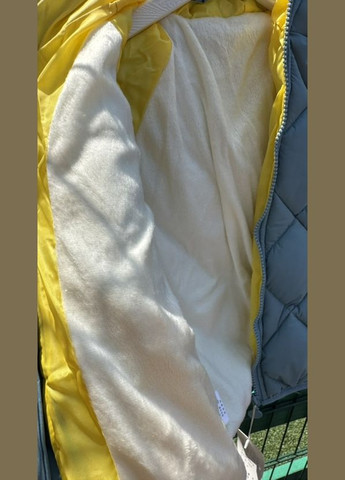 Голубая демисезонная куртка для девочки демисезонная на флисе в стиле next BabyStyle