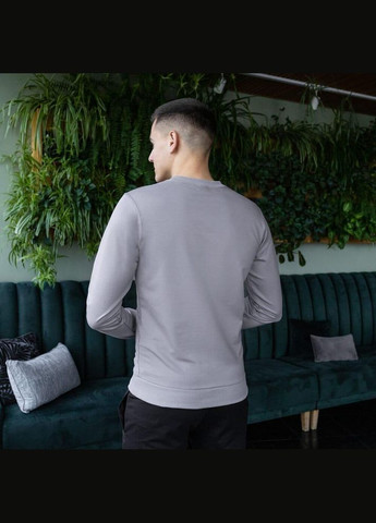 Сірий стильний чоловічий світшот однотонний сірий Freedom однотонний без декору (342741120)