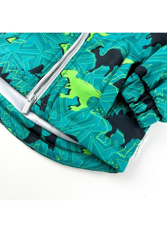 Комбінований демісезонний дитячий демісезонний комплект для хлопчика з курткою та штанами (1-set-ny-sl-dh-p-84-1-06242) Marakas