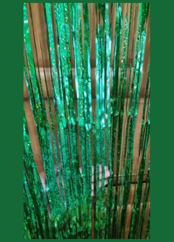 Дождик на фотозону праздничный с голограммой 2 м на 1 м зеленый Jannet Дощик (316395659)