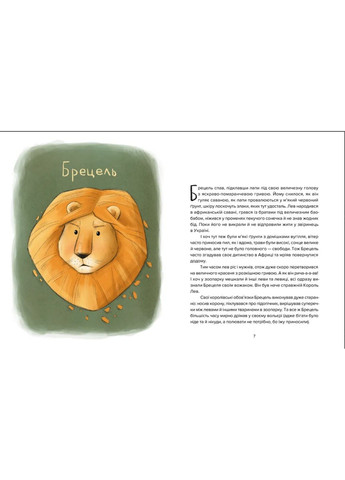 Книга Енот Ракета и другие герои Евгения Завалий (9789664481868) Видавництво Старого Лева (316084209)