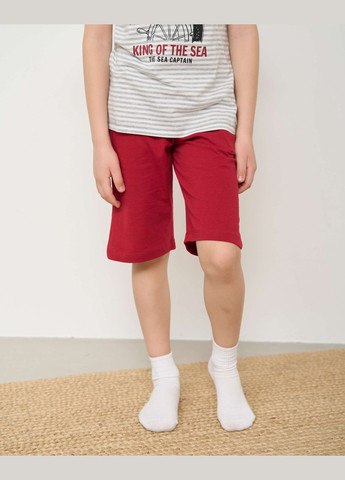 Светло-серая комплект для мальчика с шортами Ozkan