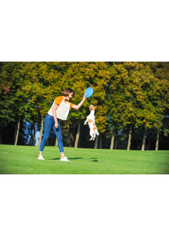 Ігрова тарілка для апортировки, діаметр блакитний PitchDog (322002795)