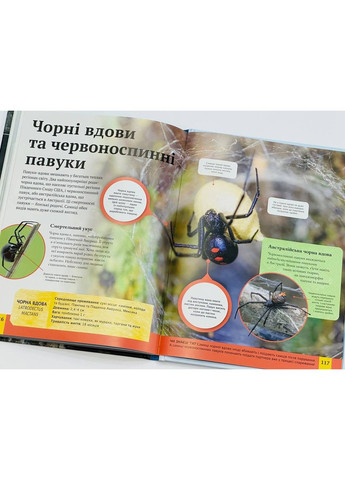 Дитяча енциклопедія хижаків. Вульф Алекс Vivat (297214247)