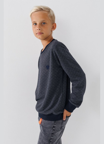 DENIZ свитшот однотонный для мальчика 3006 152 см темно-синий (2000990475381d) shop (2000990475381) темно-синий повседневный