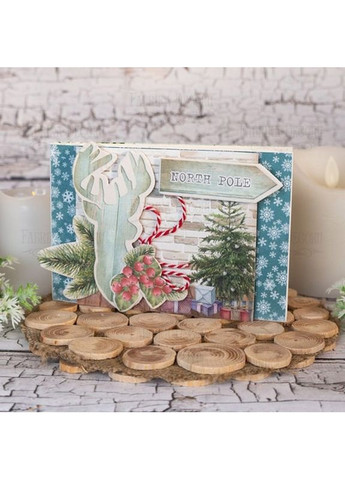 Набір для створення вітальних листівок "Winter wonders" FDGCK-017 Fabrika Decoru (364554684)