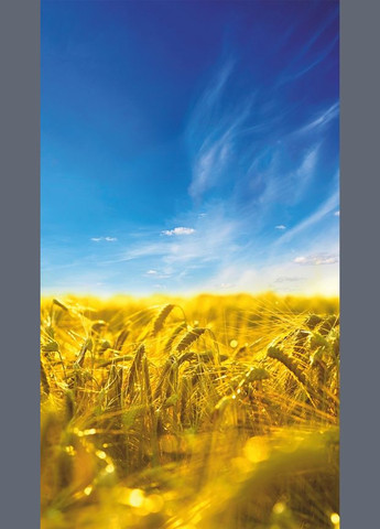 Картина обігрівач електричний Пшеничне небо 61x107см/250Вт/220В Monocrystal (276905151)