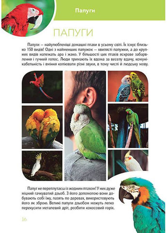 Велика книга про тварин Талант (316082237)