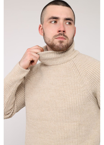 Бежевый зимний свитер мужской цвет бежевый cb-00283243 Yuki
